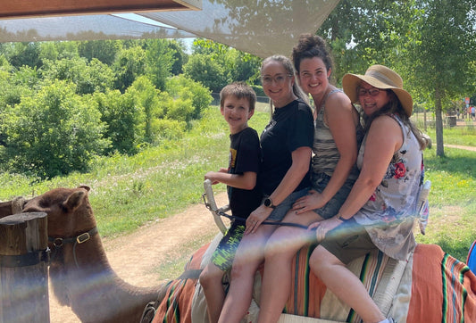 August Newsletter - Illustrating Childrens Books, Time with Family, and Up North Adventures - alyssawhetstoneart
