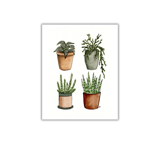 Four House Plants - Pen and Watercolor Archival Art Print - alyssawhetstoneart