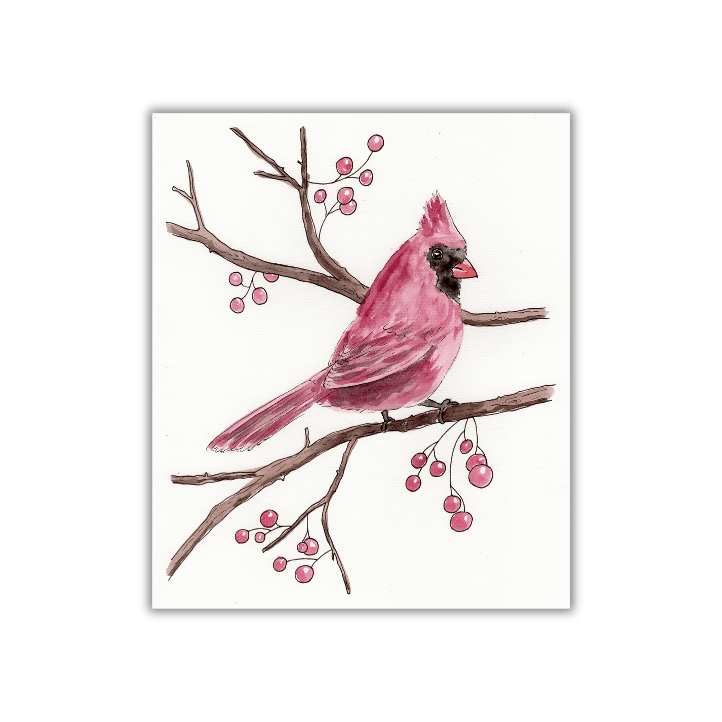 Cardinal Paint Me Page