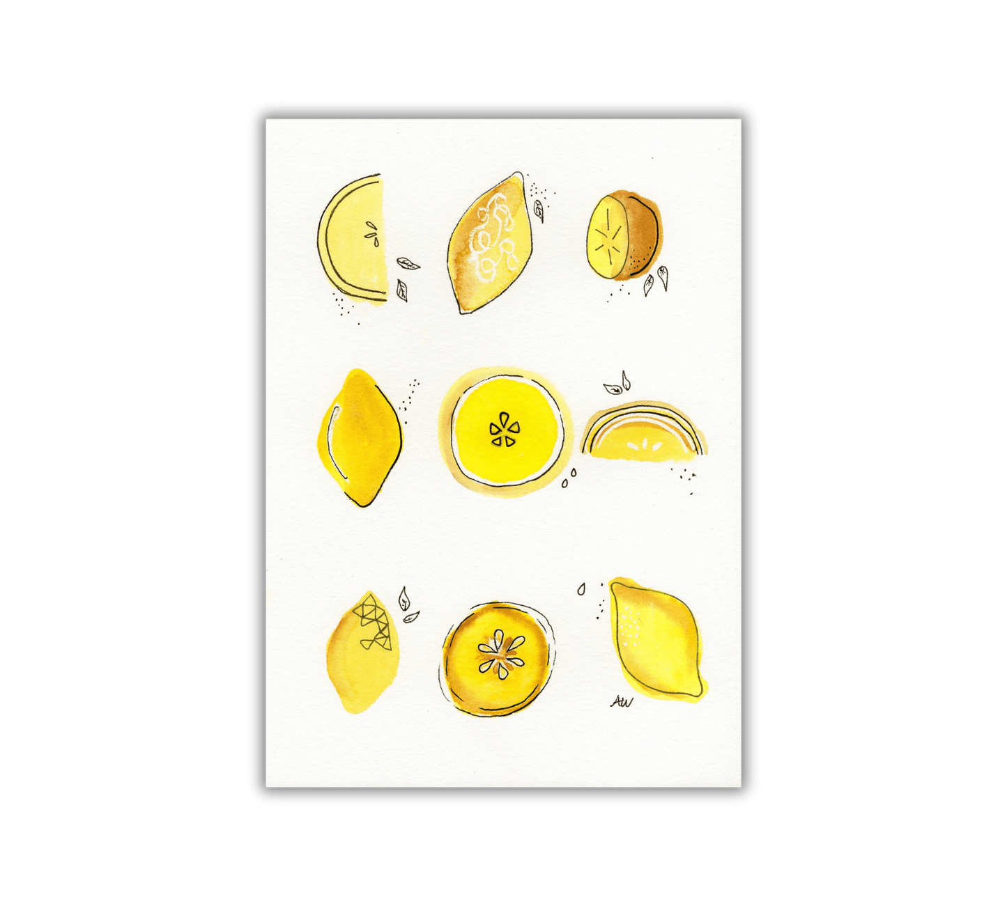Lemons - Pen and Watercolor Archival Art Print