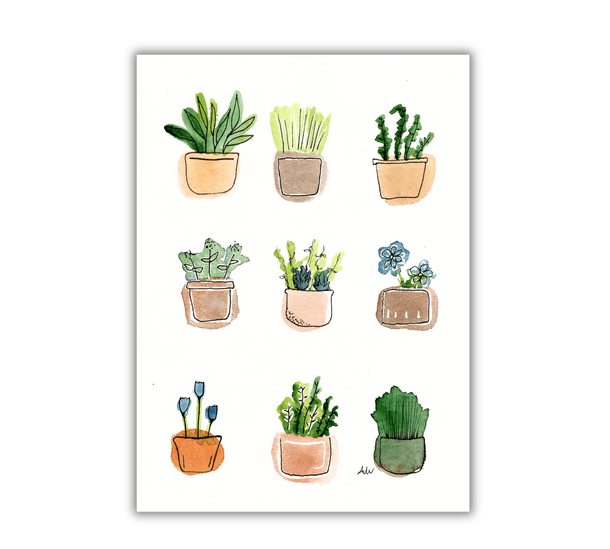 Nine Plants Pen and Watercolor Painting - Archival Quality Art Print - alyssawhetstoneart