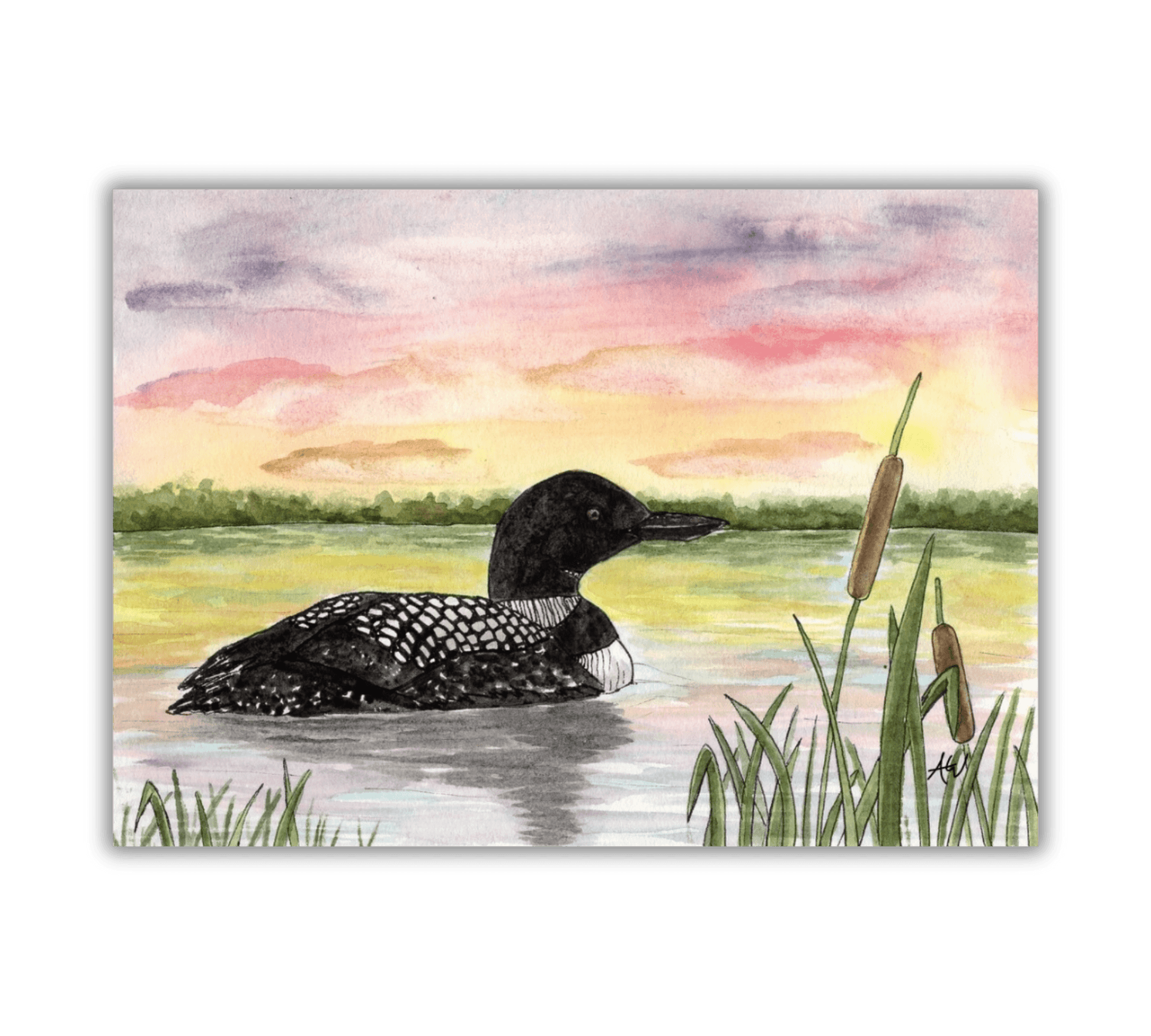 Loon at Sunset - Pen and Watercolor Painting - Archival Quality Art Print - alyssawhetstoneart
