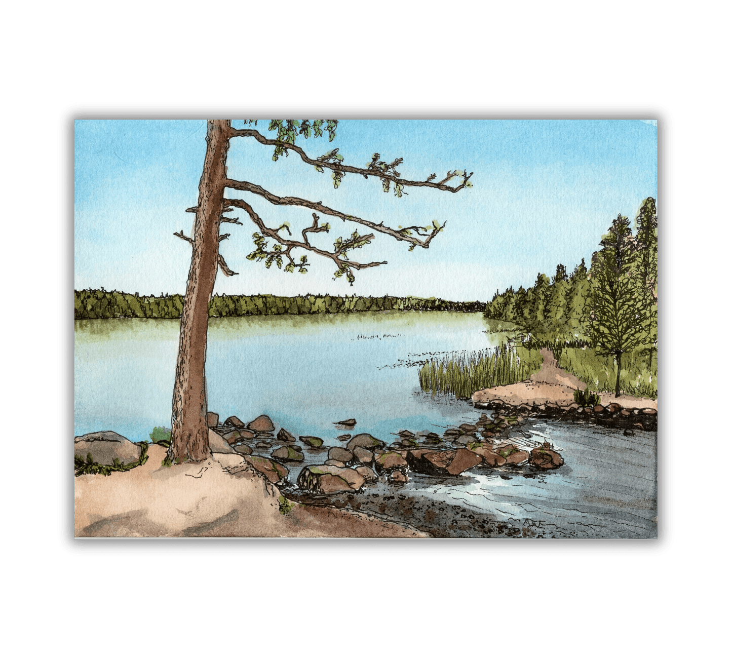 Lake Itasca in Pen and Watercolor - Archival Quality Art Print