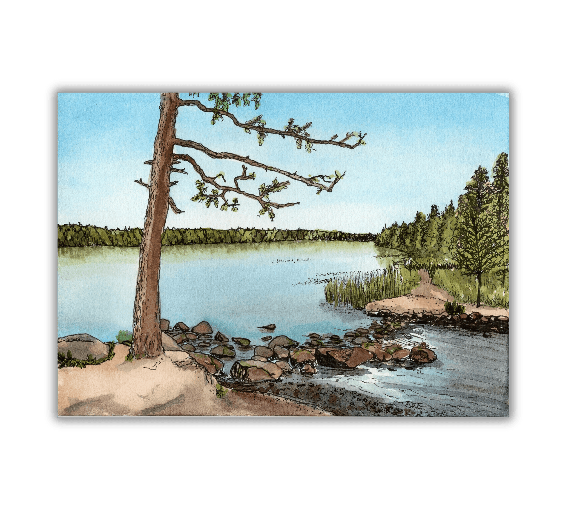Lake Itasca in Pen and Watercolor - Archival Quality Art Print - alyssawhetstoneart