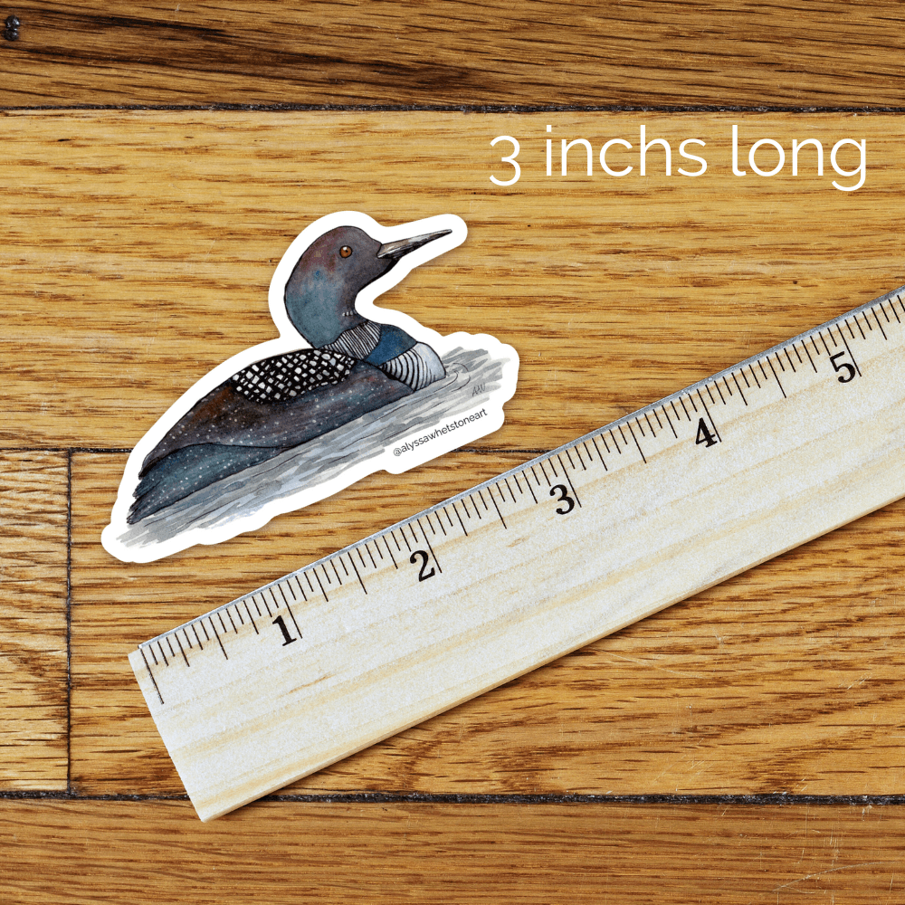 Loon Sticker - Minnesota State Bird - Vinyl Decal Sticker