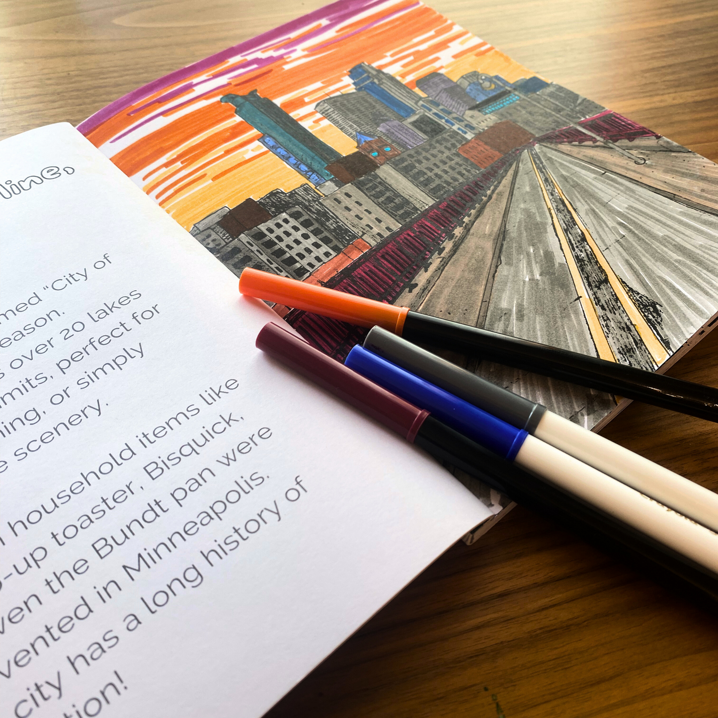 Minnesota Coloring Book - alyssawhetstoneart