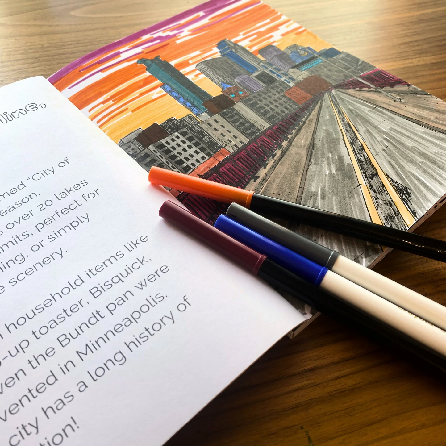 Minnesota Coloring Book - alyssawhetstoneart