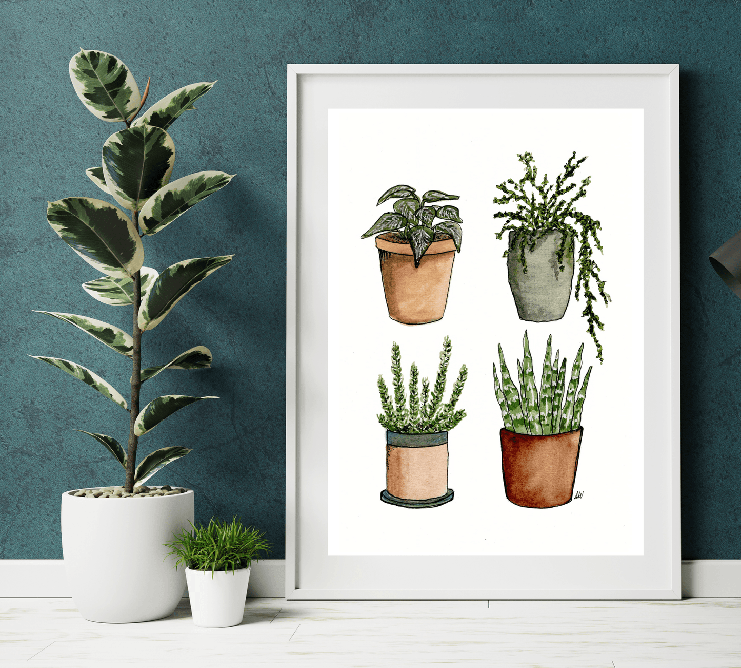 Four House Plants - Pen and Watercolor Archival Art Print