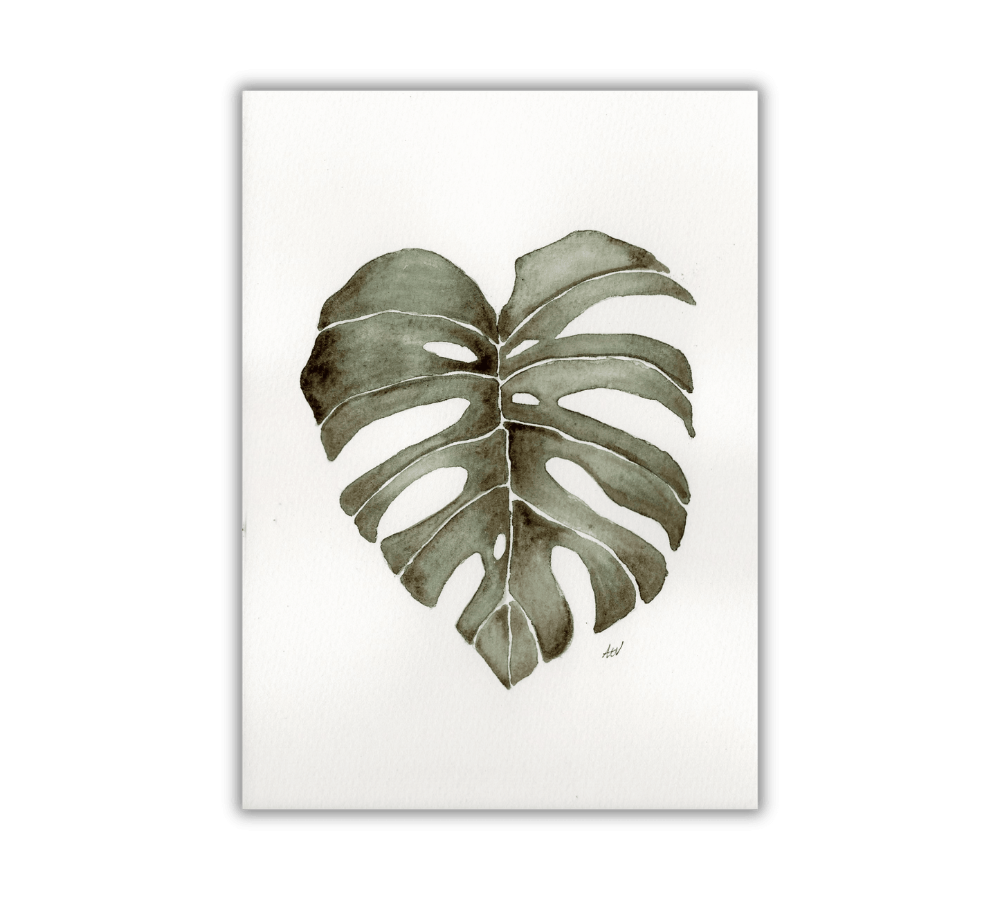 Monstera Leaf - Pen and Watercolor Archival Art Print - alyssawhetstoneart