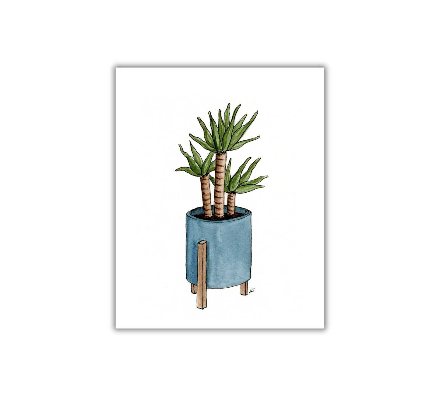 Yucca Plant - Pen and Watercolor Archival Art Print
