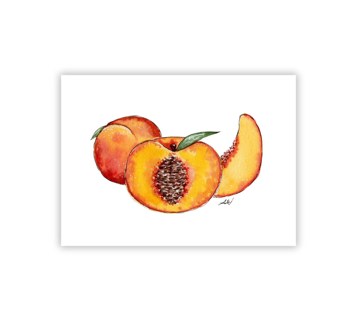 Peaches - Pen and Watercolor Archival Art Print - alyssawhetstoneart