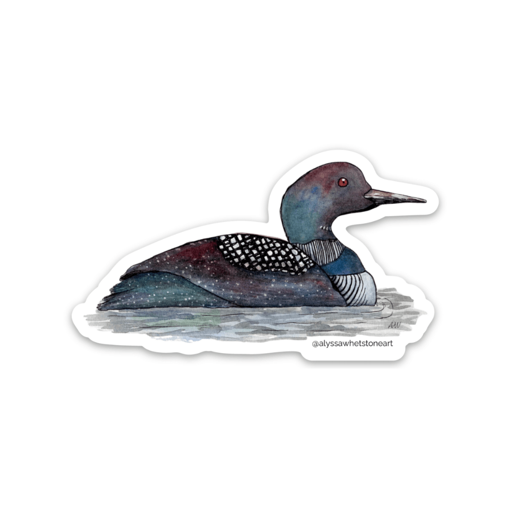 Loon Sticker - Minnesota State Bird - Vinyl Decal Sticker