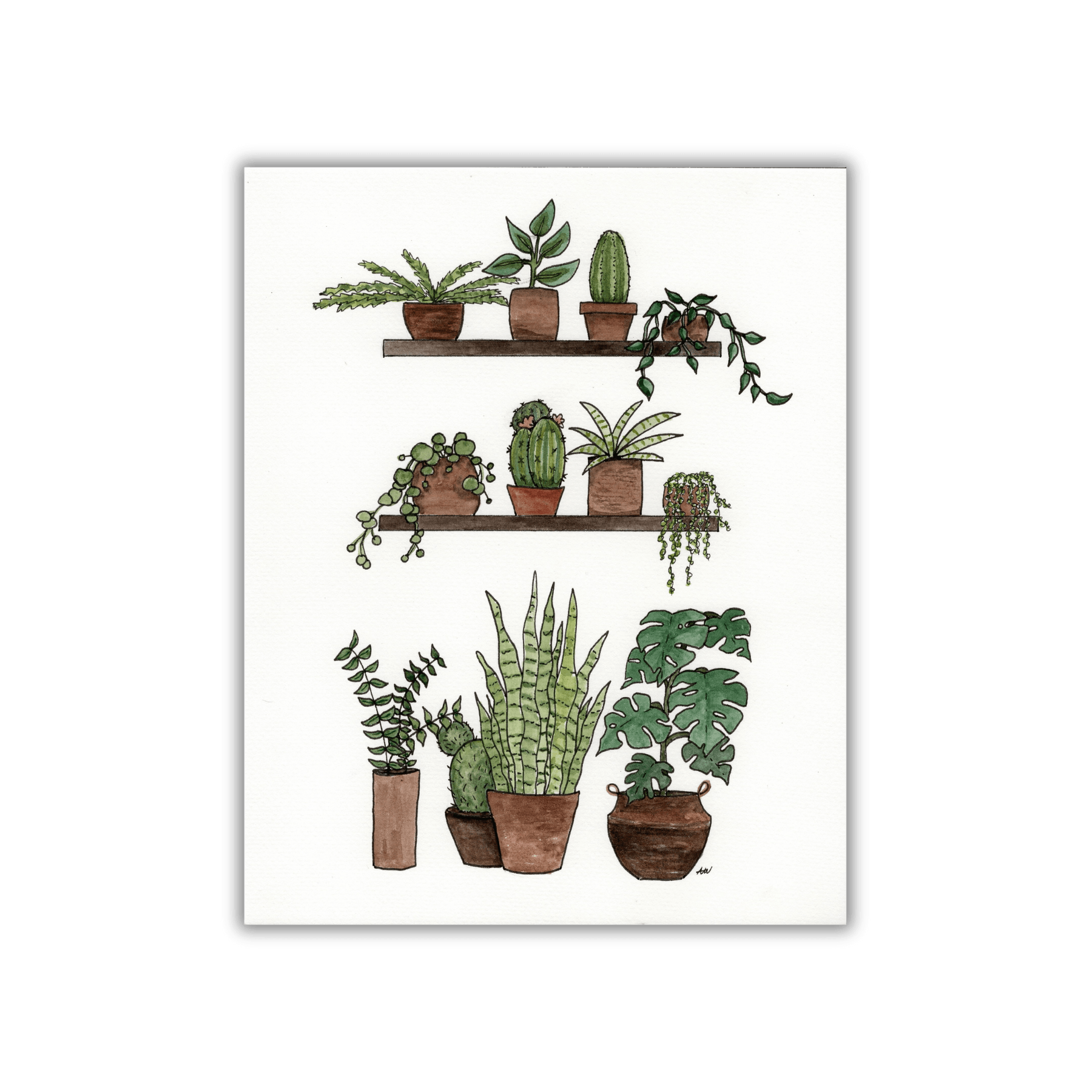 watercolor indoor plants Shelves of Plants Fine Art Print – alyssawhetstoneart