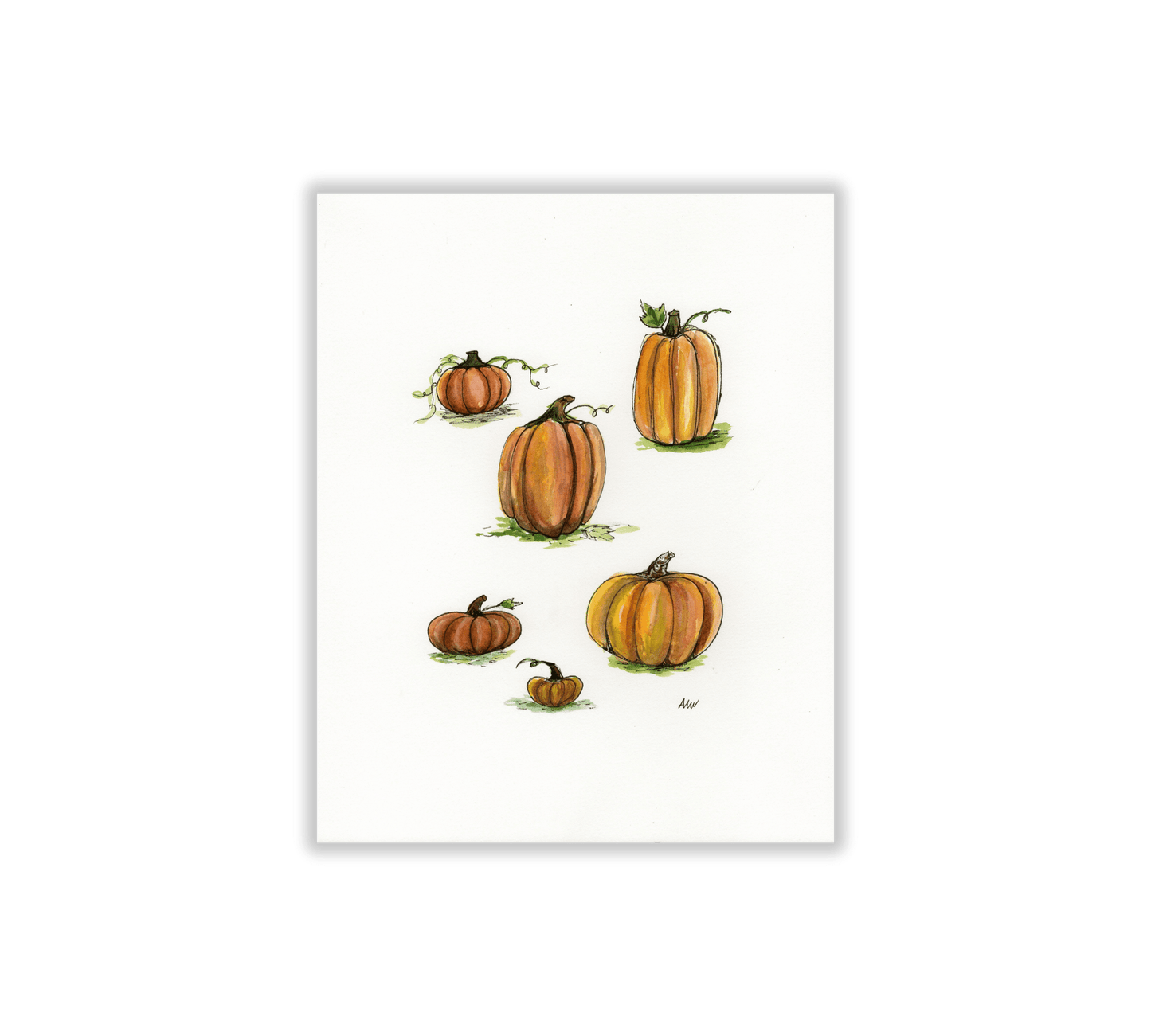 Pumpkins - Pen and Watercolor Archival Art Print