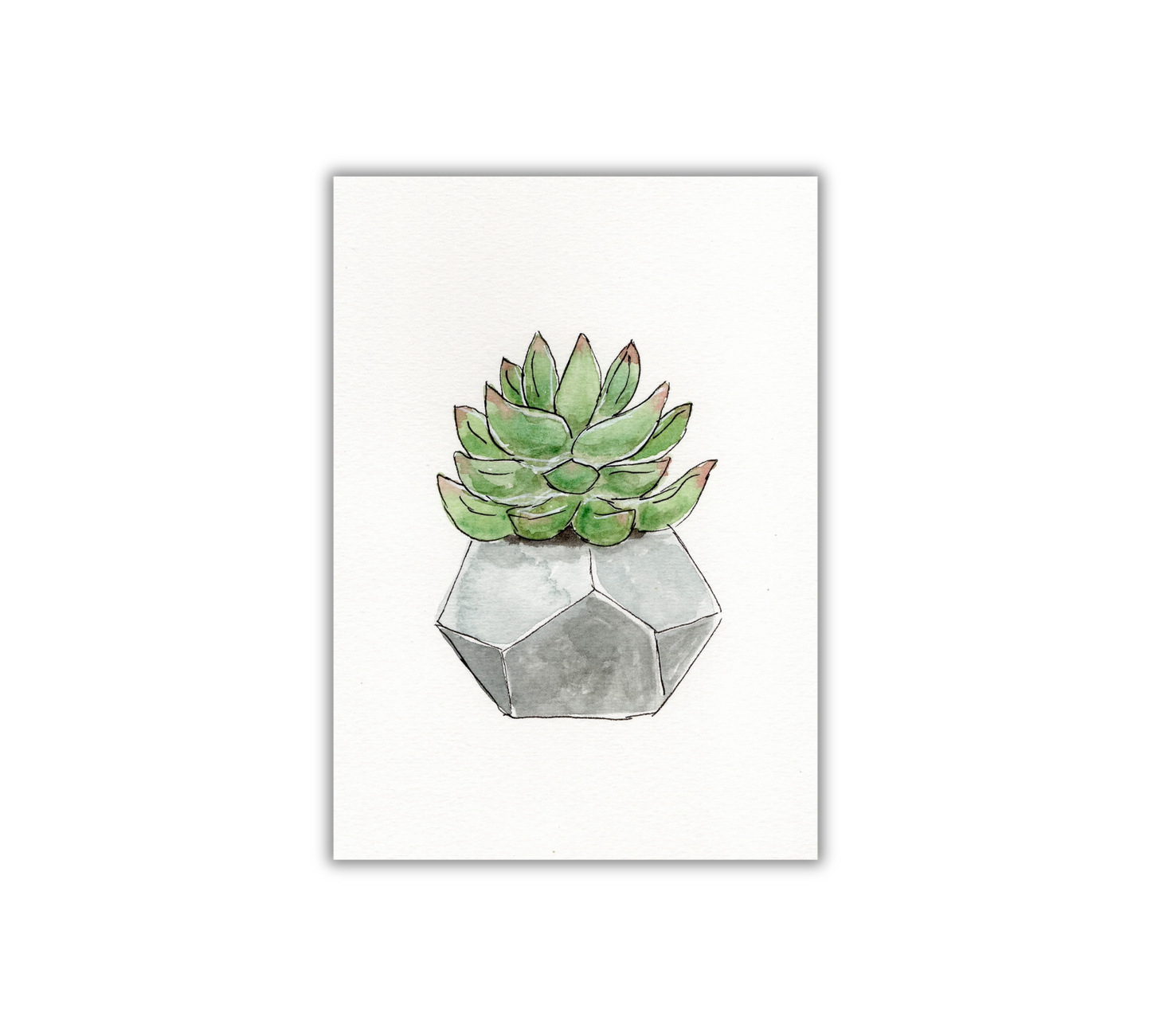 Succulent - Pen and Watercolor Archival Art Print - alyssawhetstoneart