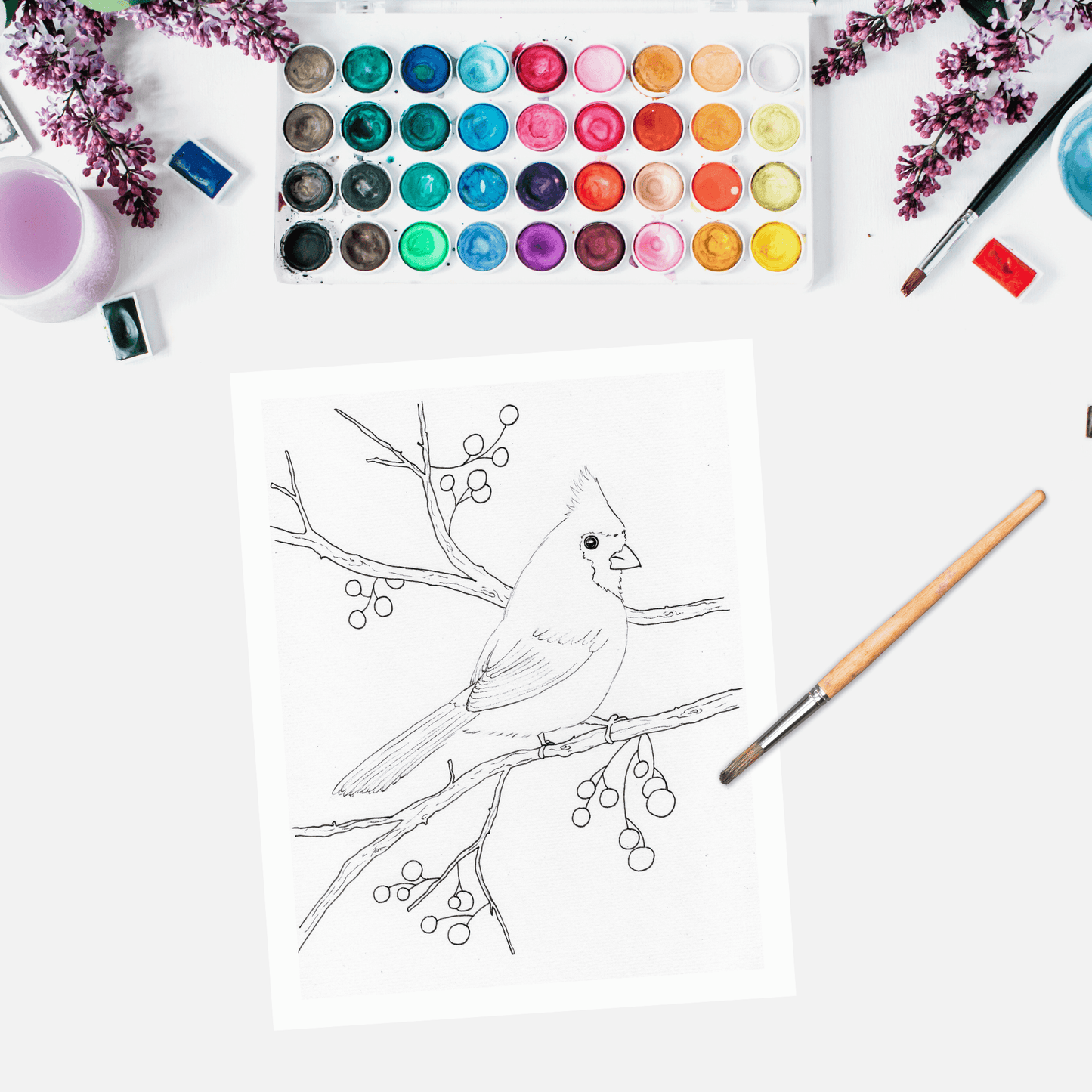Cardinal Paint Me Page