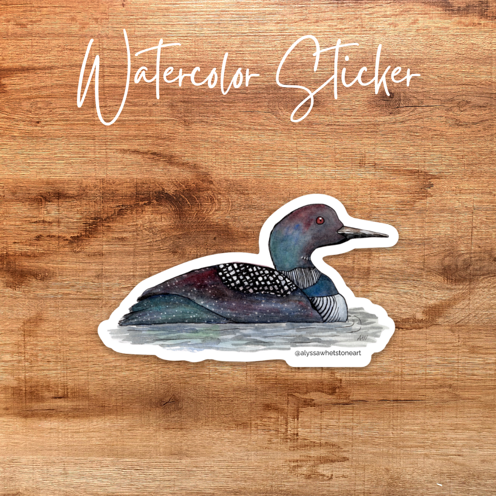 Loon Sticker - Minnesota State Bird - Vinyl Decal Sticker