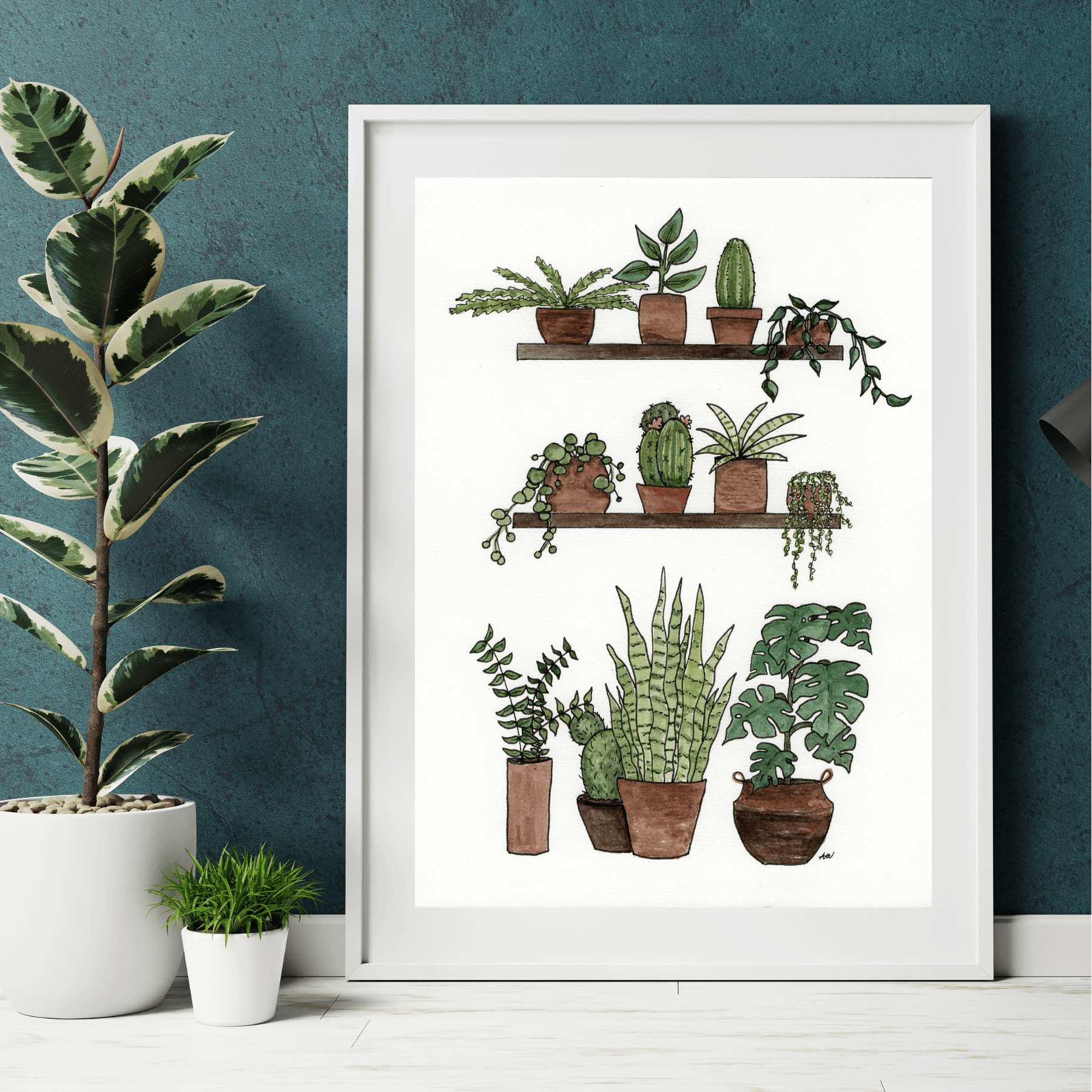 house plant print Shelves of Plants Fine Art Print – alyssawhetstoneart