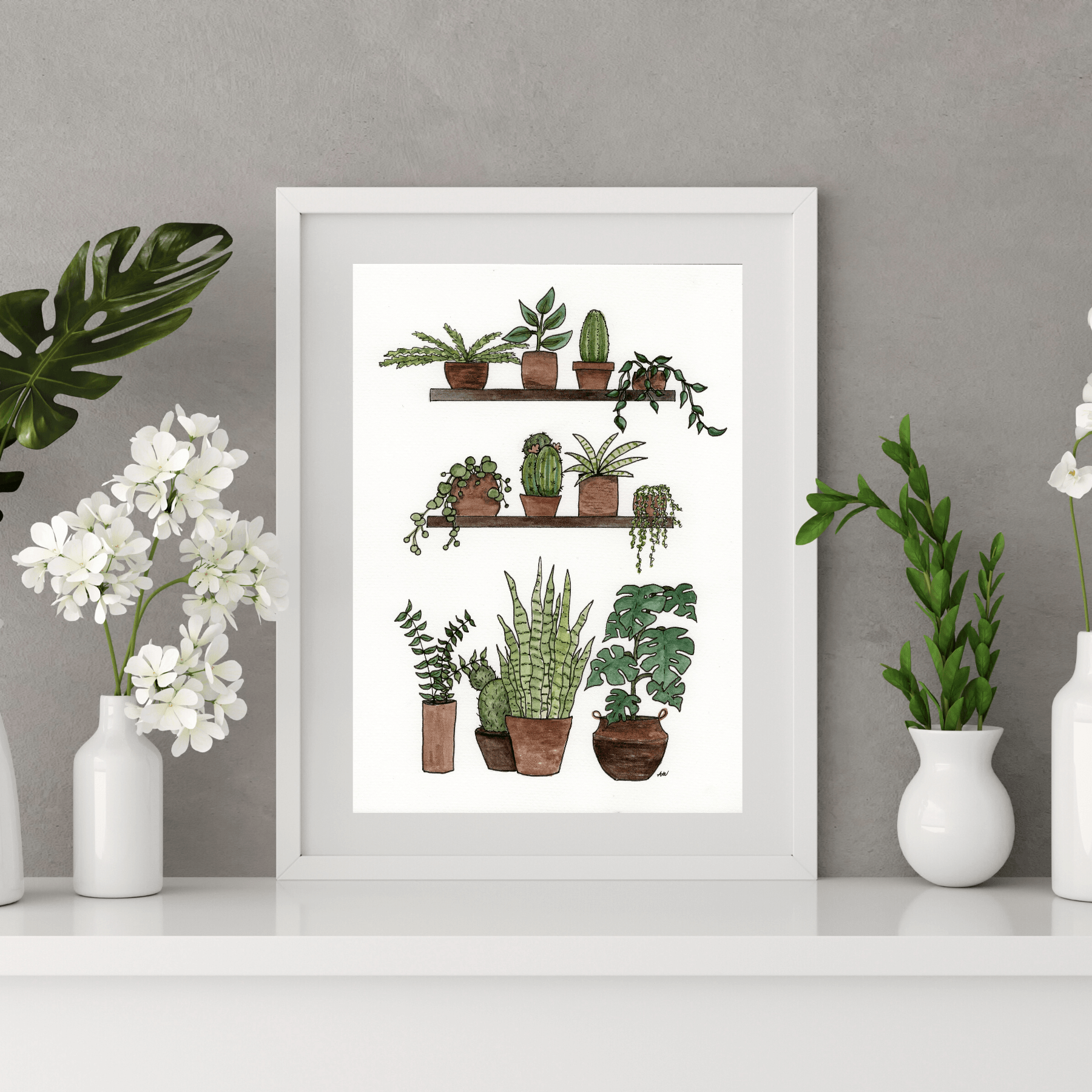 Shelves of Plants Fine Art Print  alyssawhetstoneart