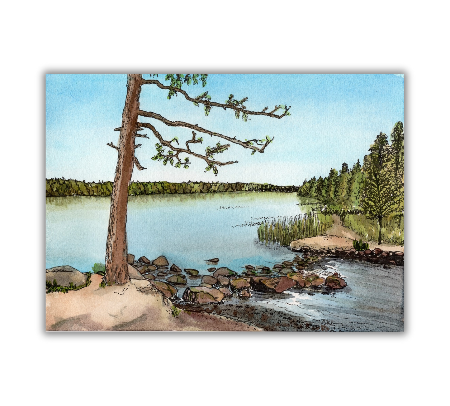 Lake Itasca in Pen and Watercolor - Archival Quality Art Print