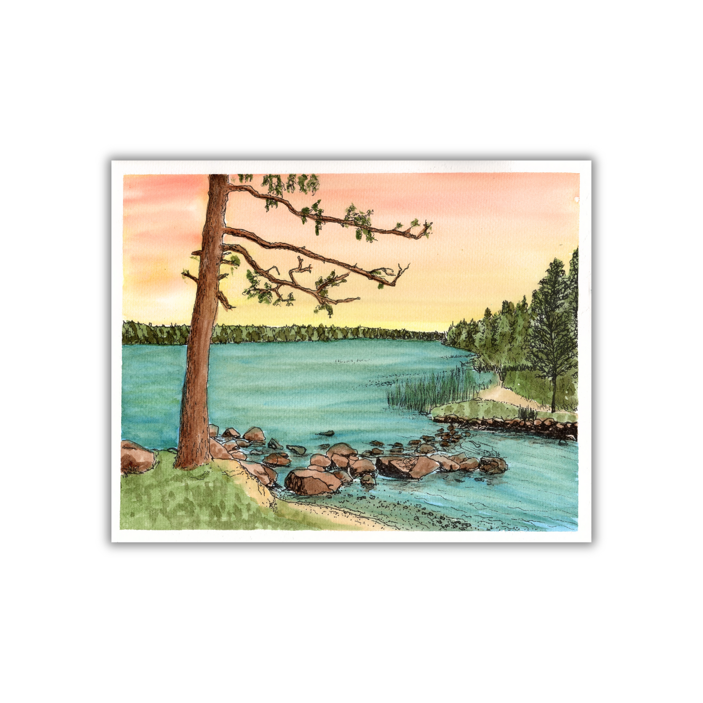 Lake Itasca Paint Me Page