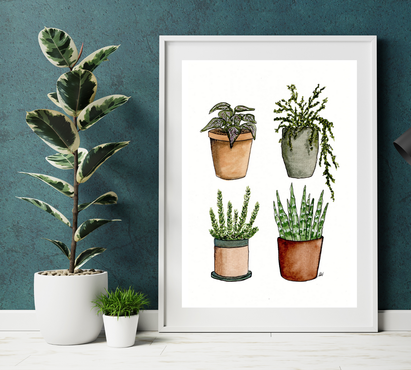 Four House Plants - Pen and Watercolor Archival Art Print