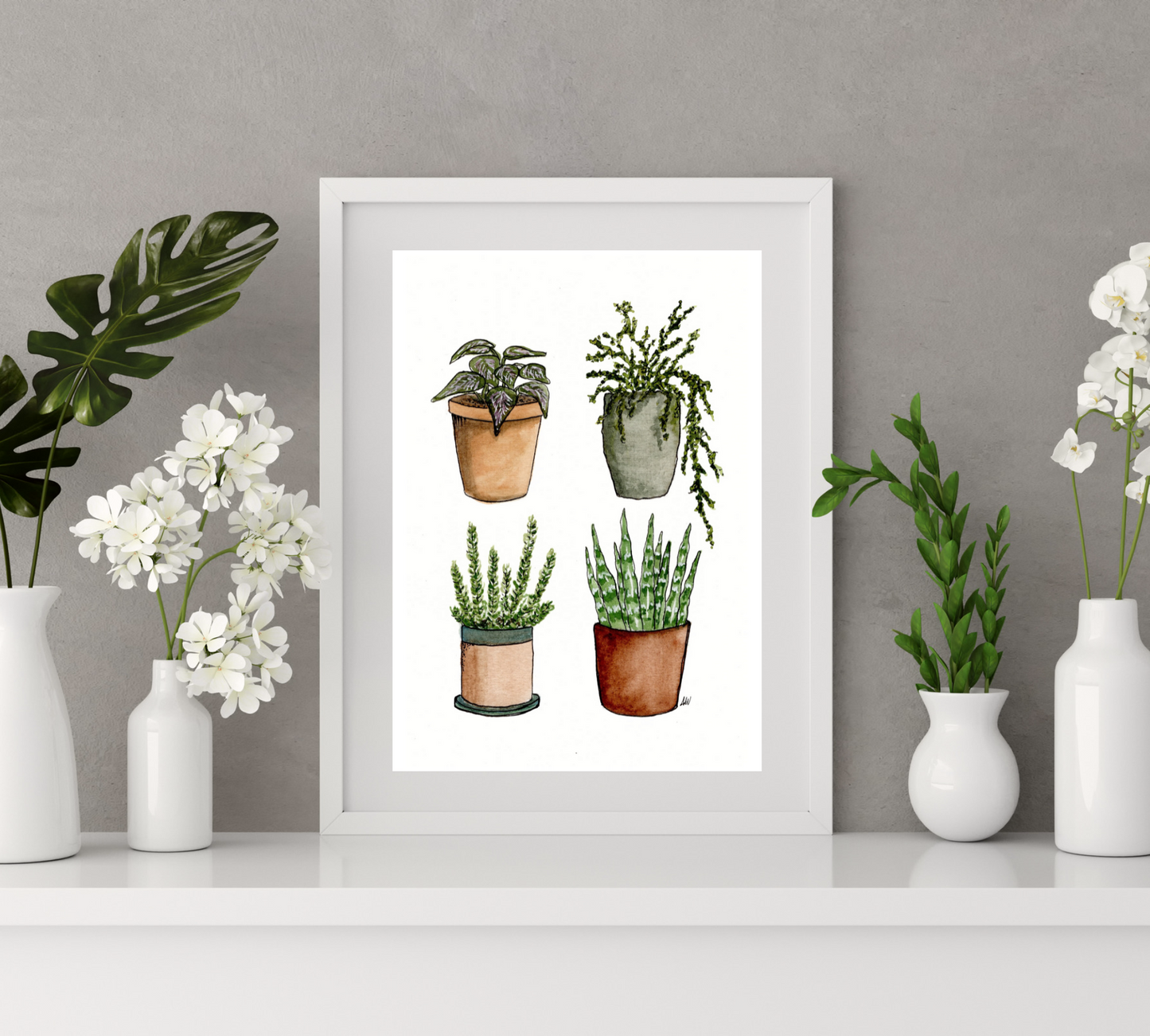 Four House Plants - Pen and Watercolor Archival Art Print