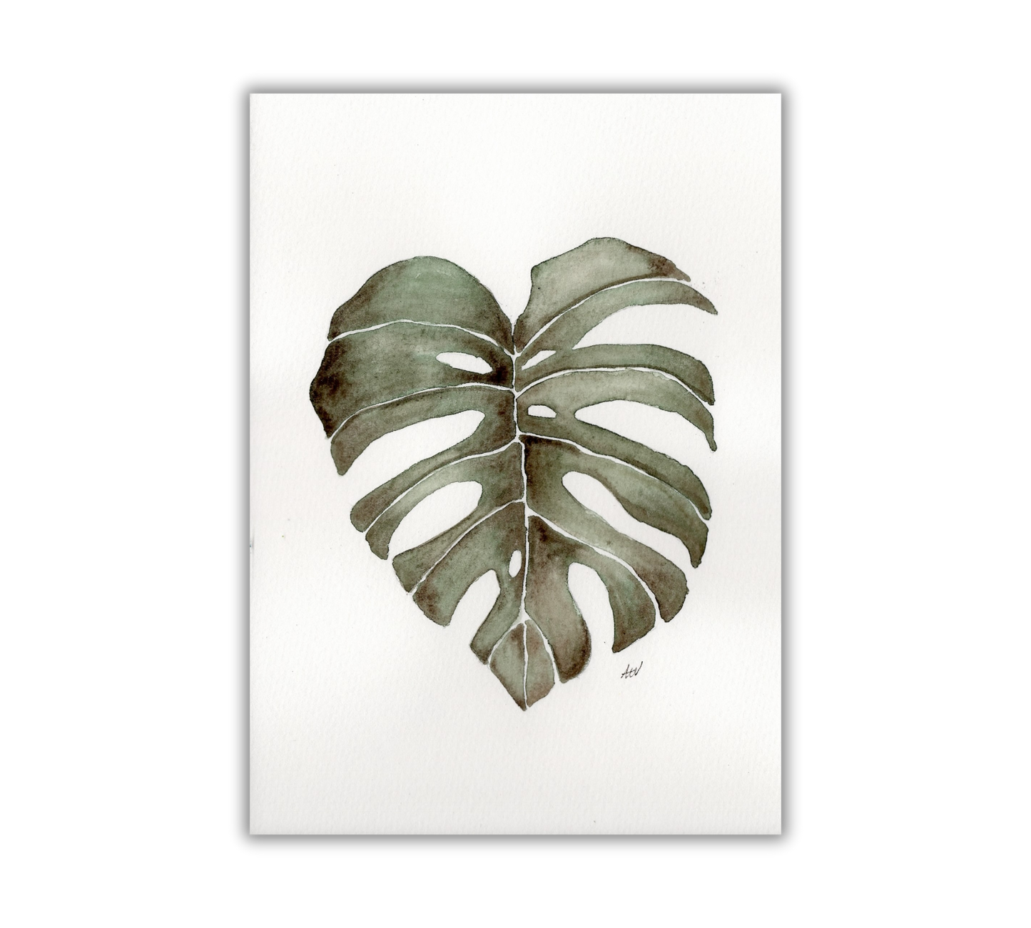 Monstera Leaf - Pen and Watercolor Archival Art Print