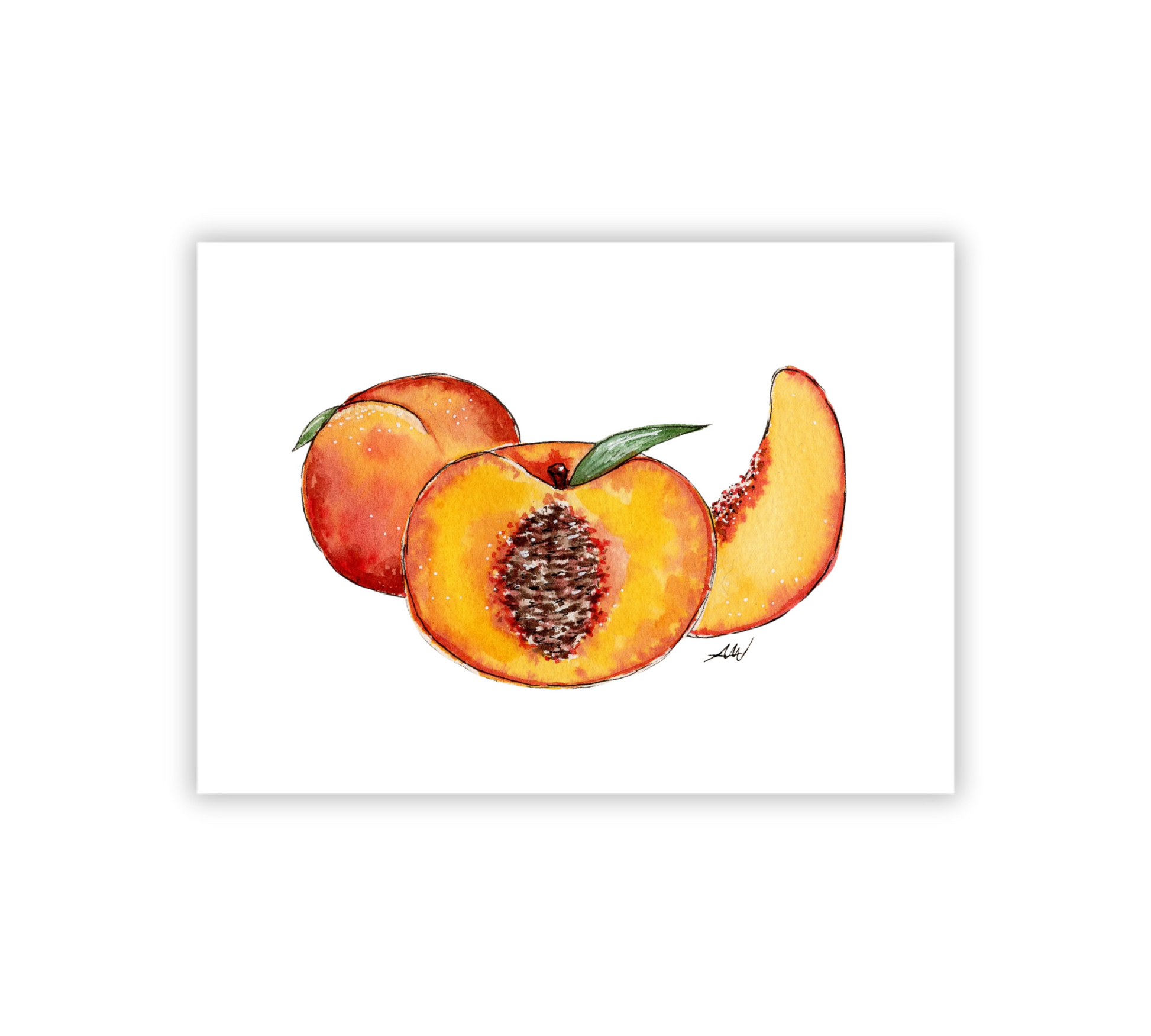 Peaches - Pen and Watercolor Archival Art Print - alyssawhetstoneart