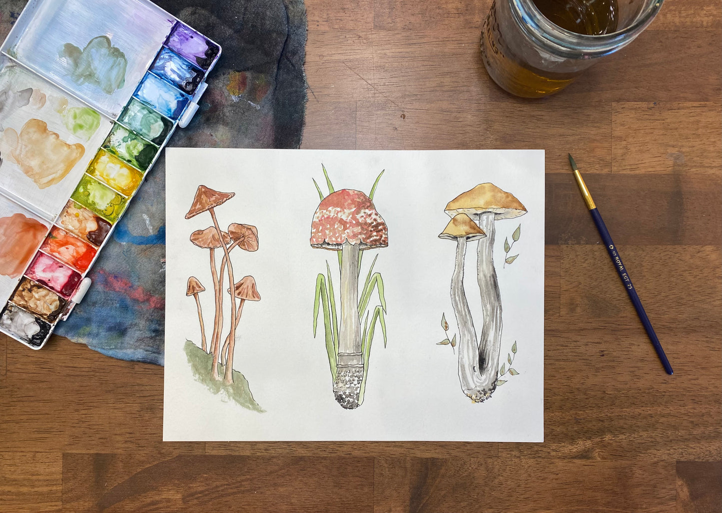 Botanical Mushrooms in Watercolor Event Tickets - January 16th