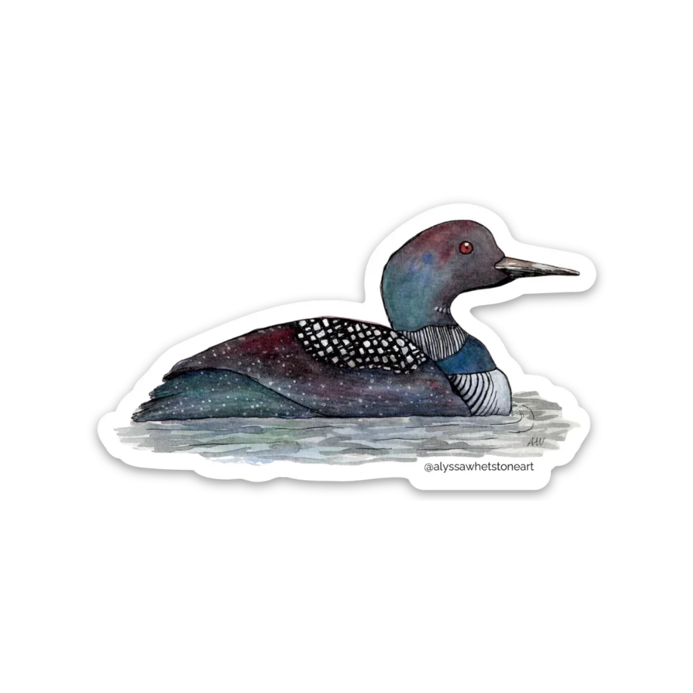 Loon Sticker - Minnesota State Bird - Vinyl Decal Sticker