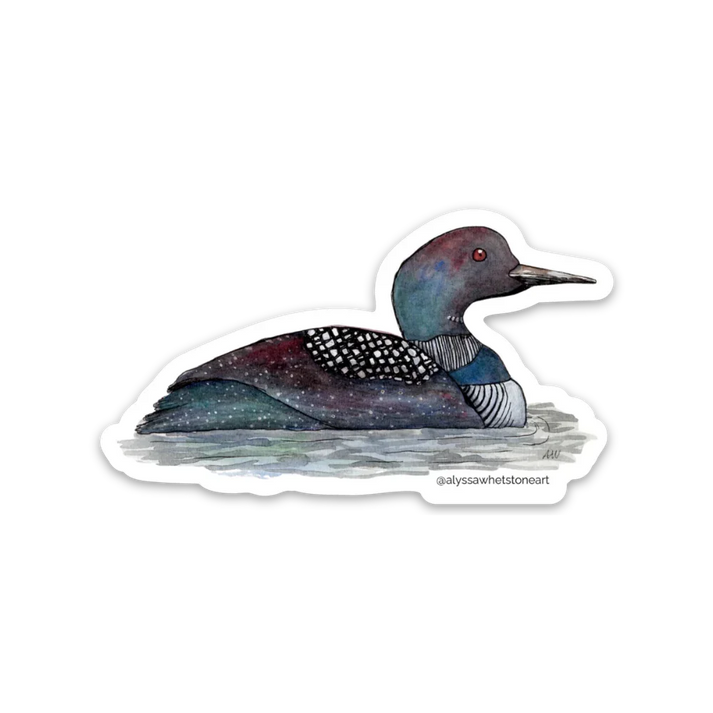 Loon Sticker - Minnesota State Bird - Vinyl Decal Sticker ...